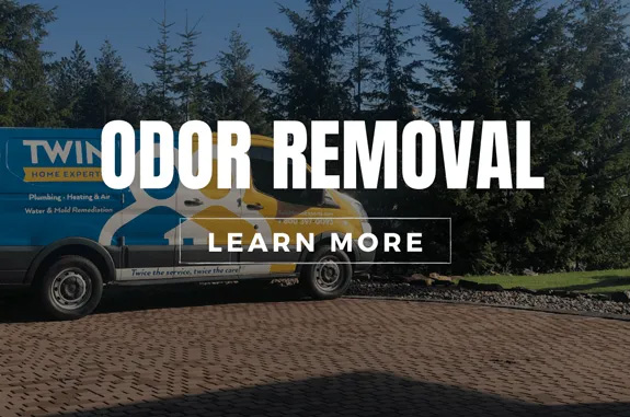 odorremoval