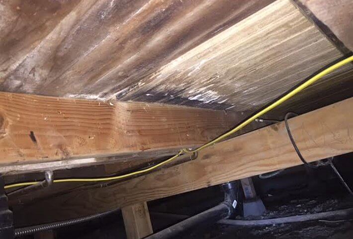 Mold In Crawl Space