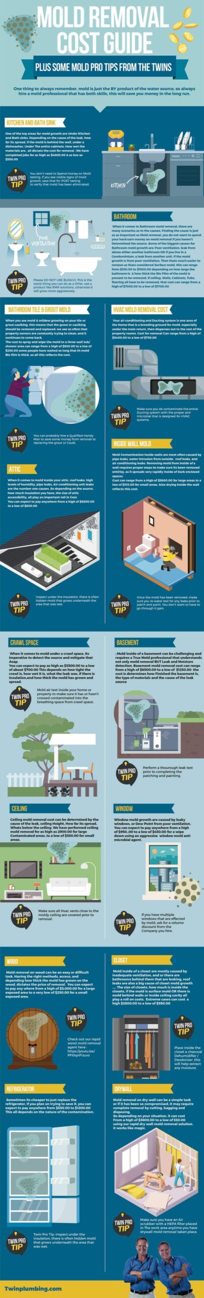 Mold-Pricing-Infographic-