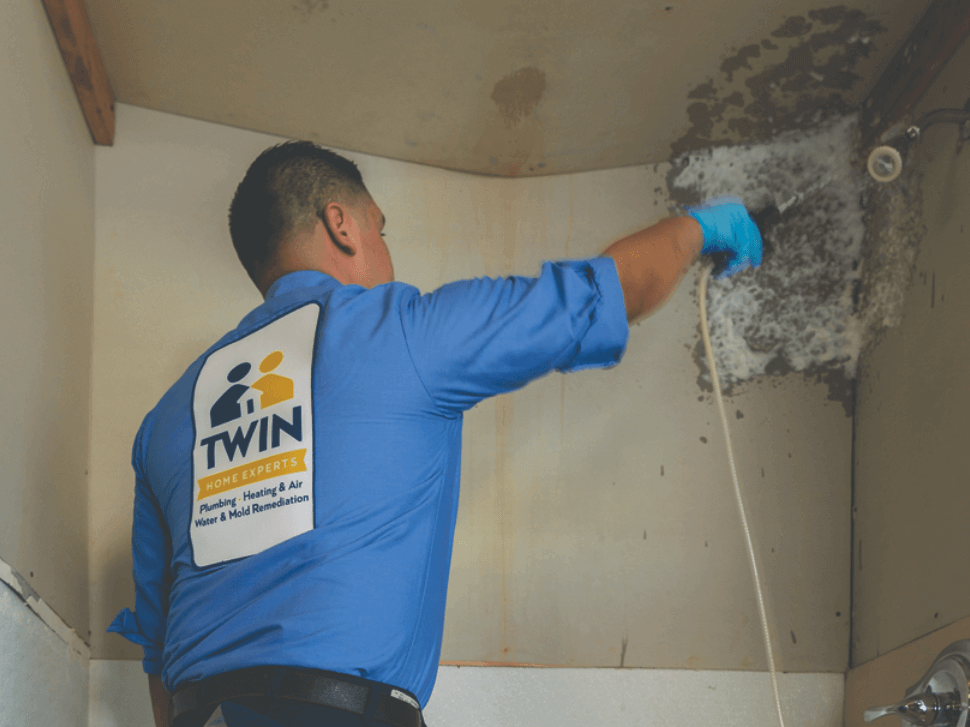 5 Signs You Have Mold Inside Walls And How To Deal With It - How To Test For Mold Behind Shower Wall