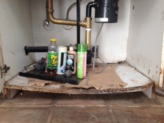 Kitchen Sink Water Damage in Los Angeles and Phoenix