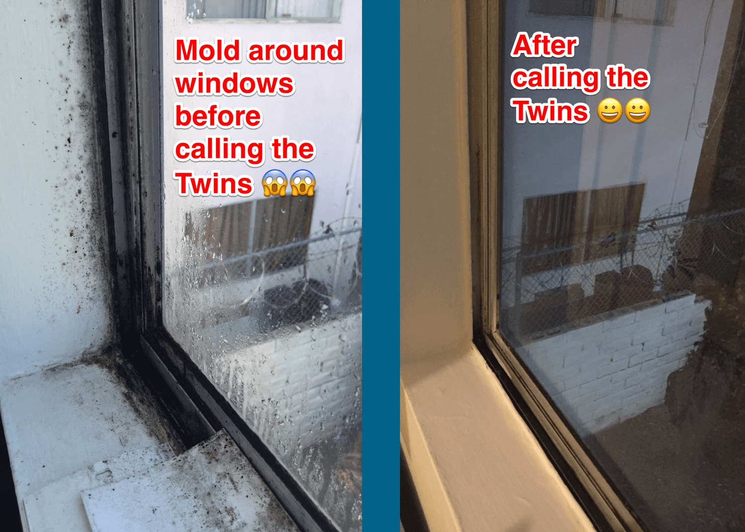 mold-before-after-treatment