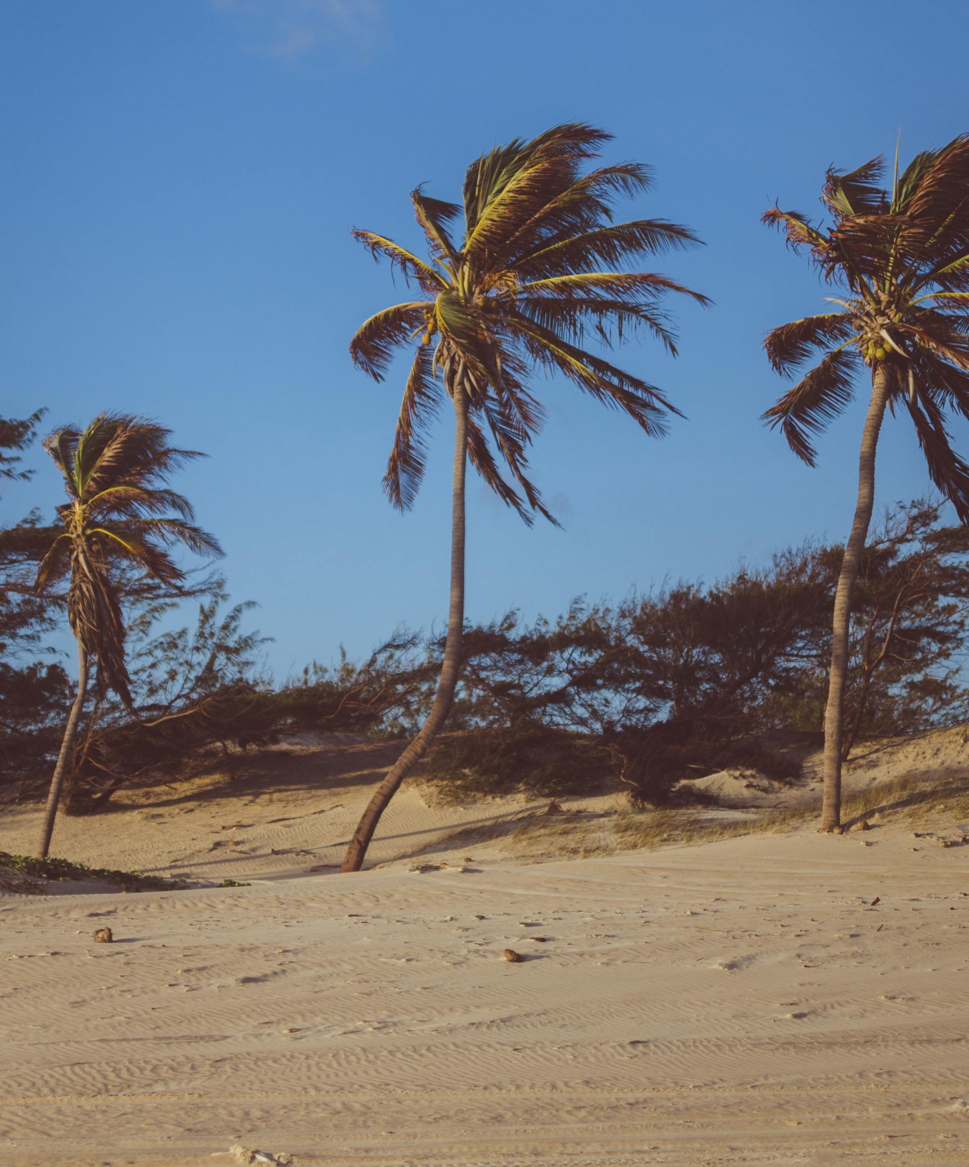 Do You Have Sewer Smell When the Wind Blows?