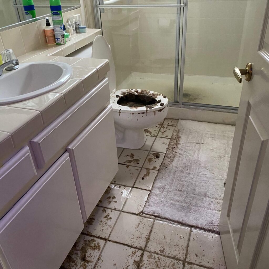 Plumber in Punta Gorda, FL | 24/7 Emergency, Drain & Water Heater ...