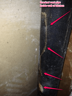 kitchen sewer odor