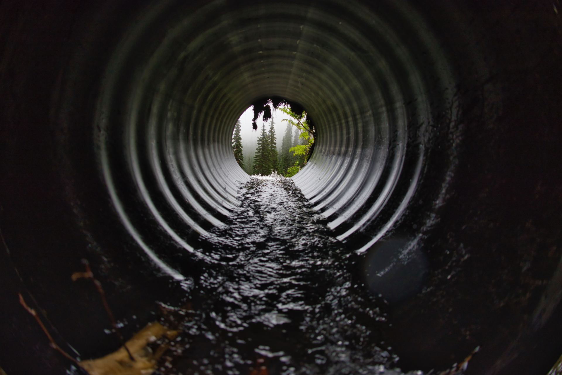 Drain Repair in Simi Valley