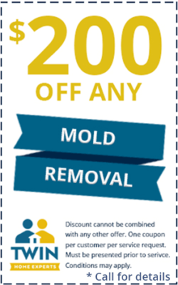 mold-offer-1280w