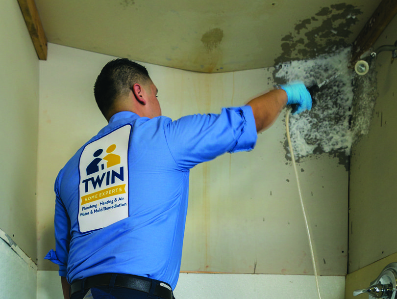 mold-removal