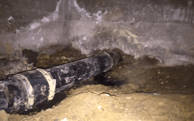 mold under house