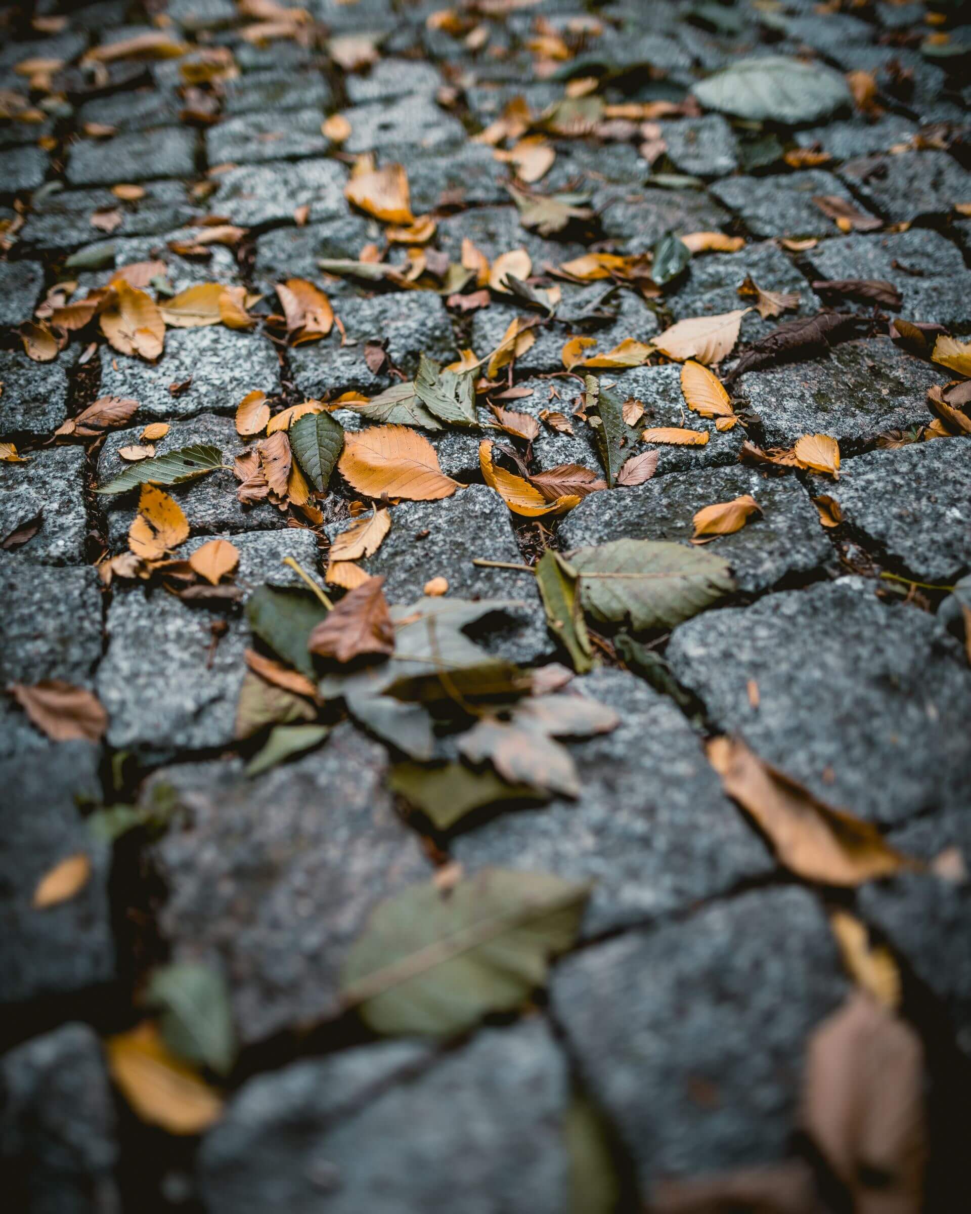 Run Your New Water Main Under Your Sidewalk