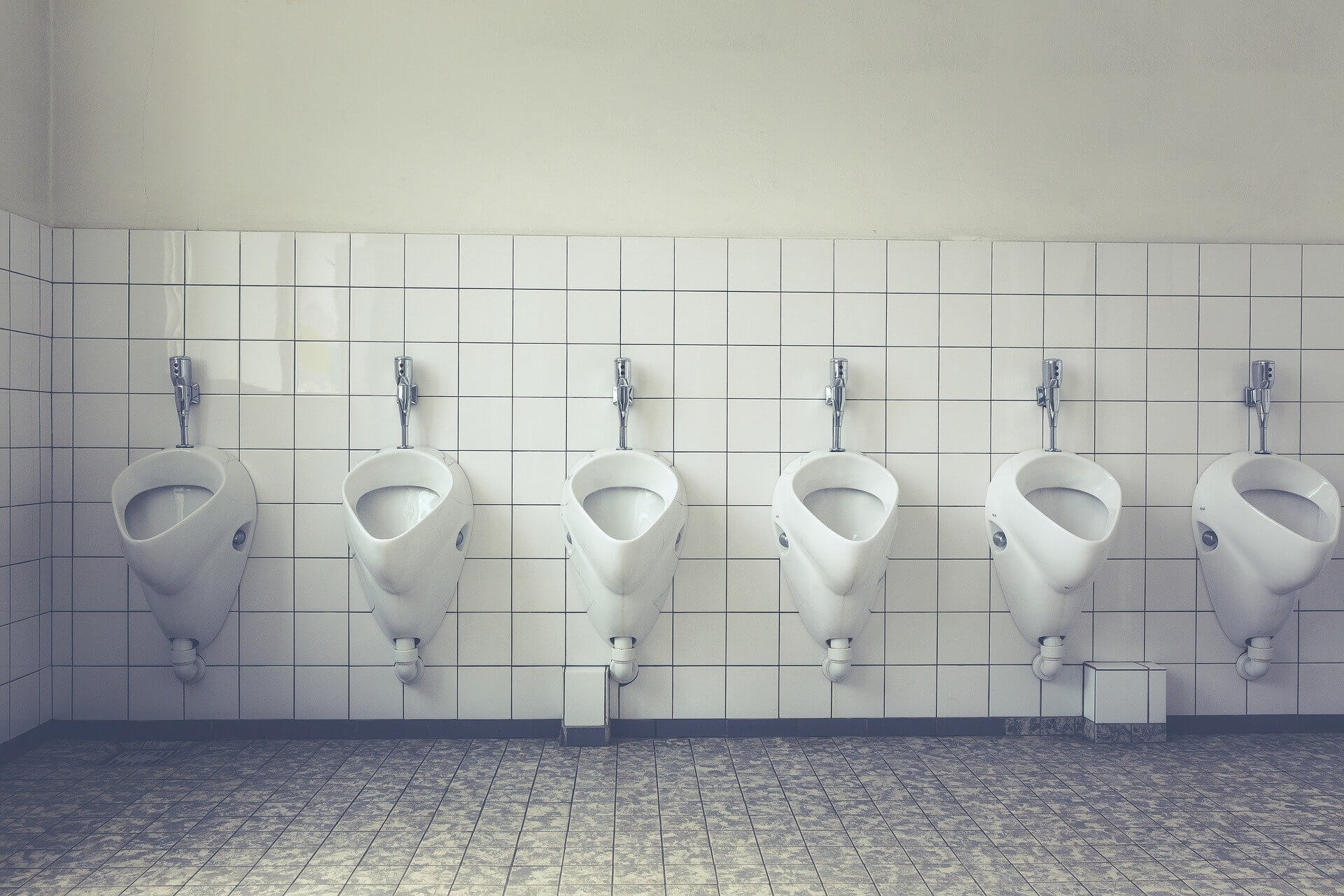 Toilet Repair in Los Angeles and Phoenix