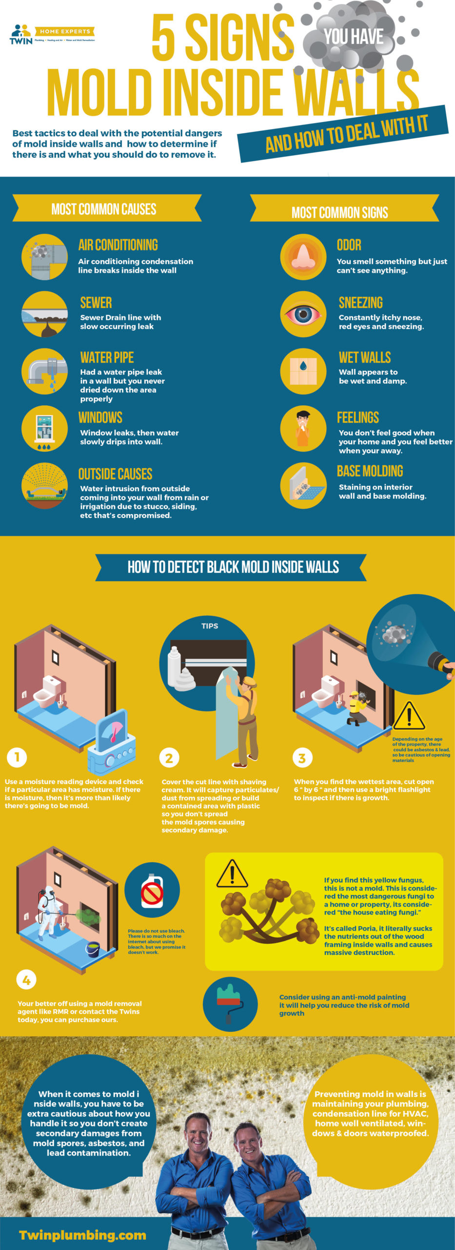 infographic-sign-you-have-black-mold-in-your-home