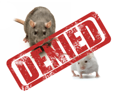 rodent-control-in-sherman-oaks