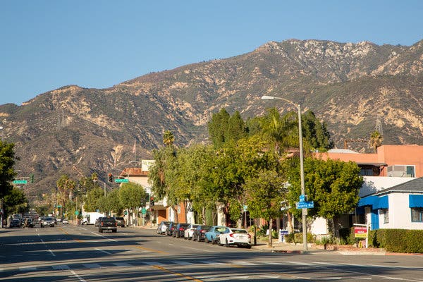 Altadena Rodent Control