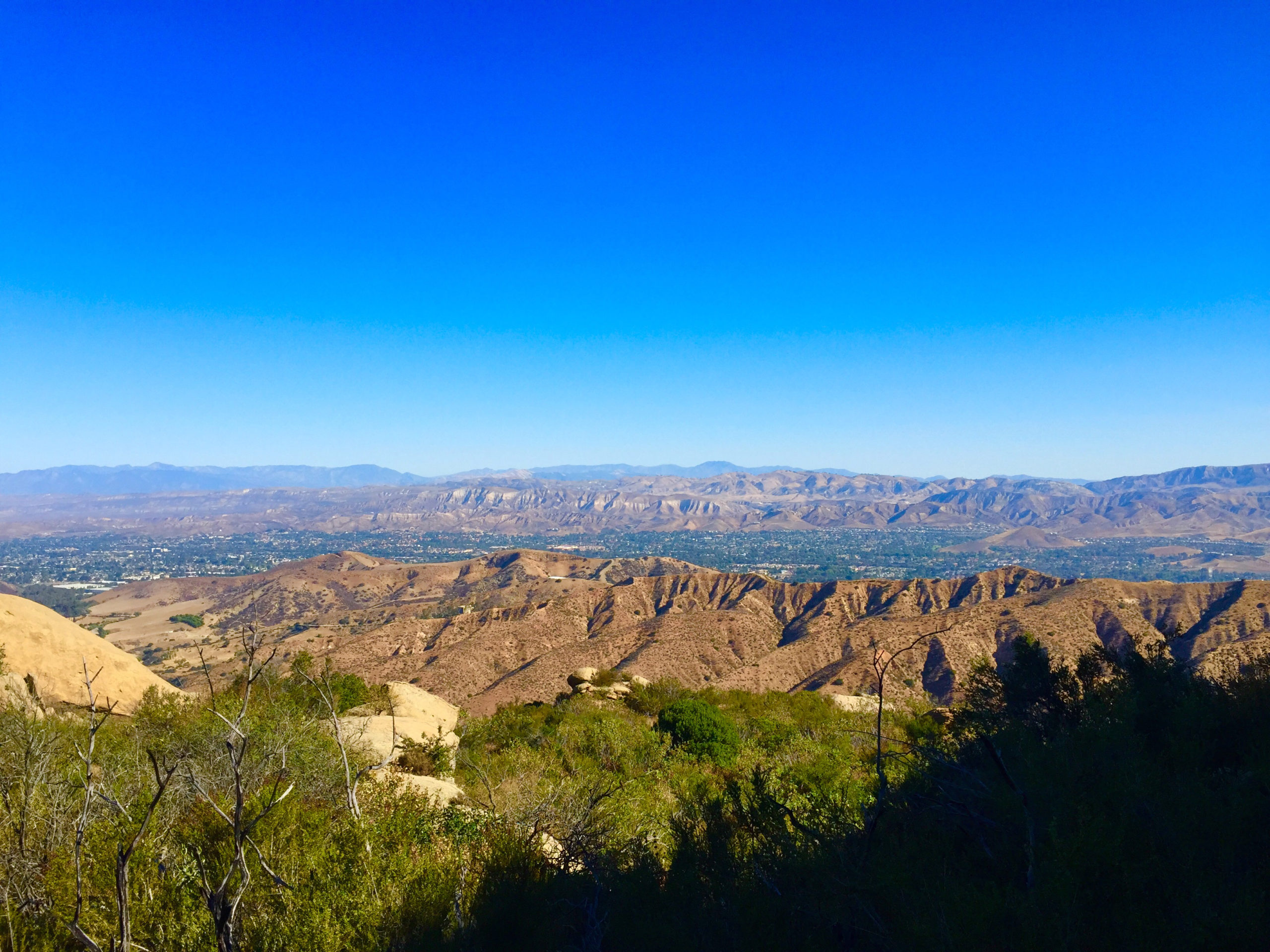 Simi Valley Rodent Control