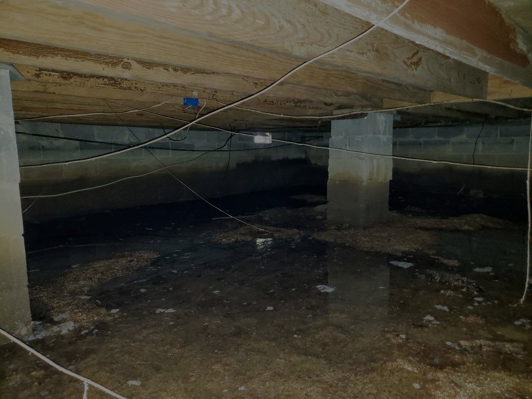 How Much Does It Cost To Remove Standing Water From My Crawl Space?
