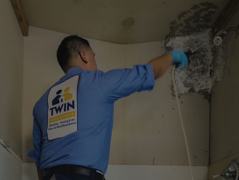 Difference Between Mold Removal and Mold Remediation