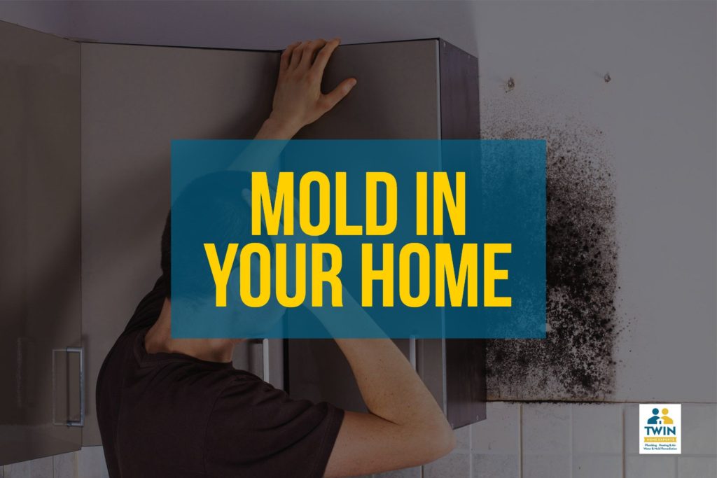 mold-removal-los-angeles-mold-remediation-guaranteed