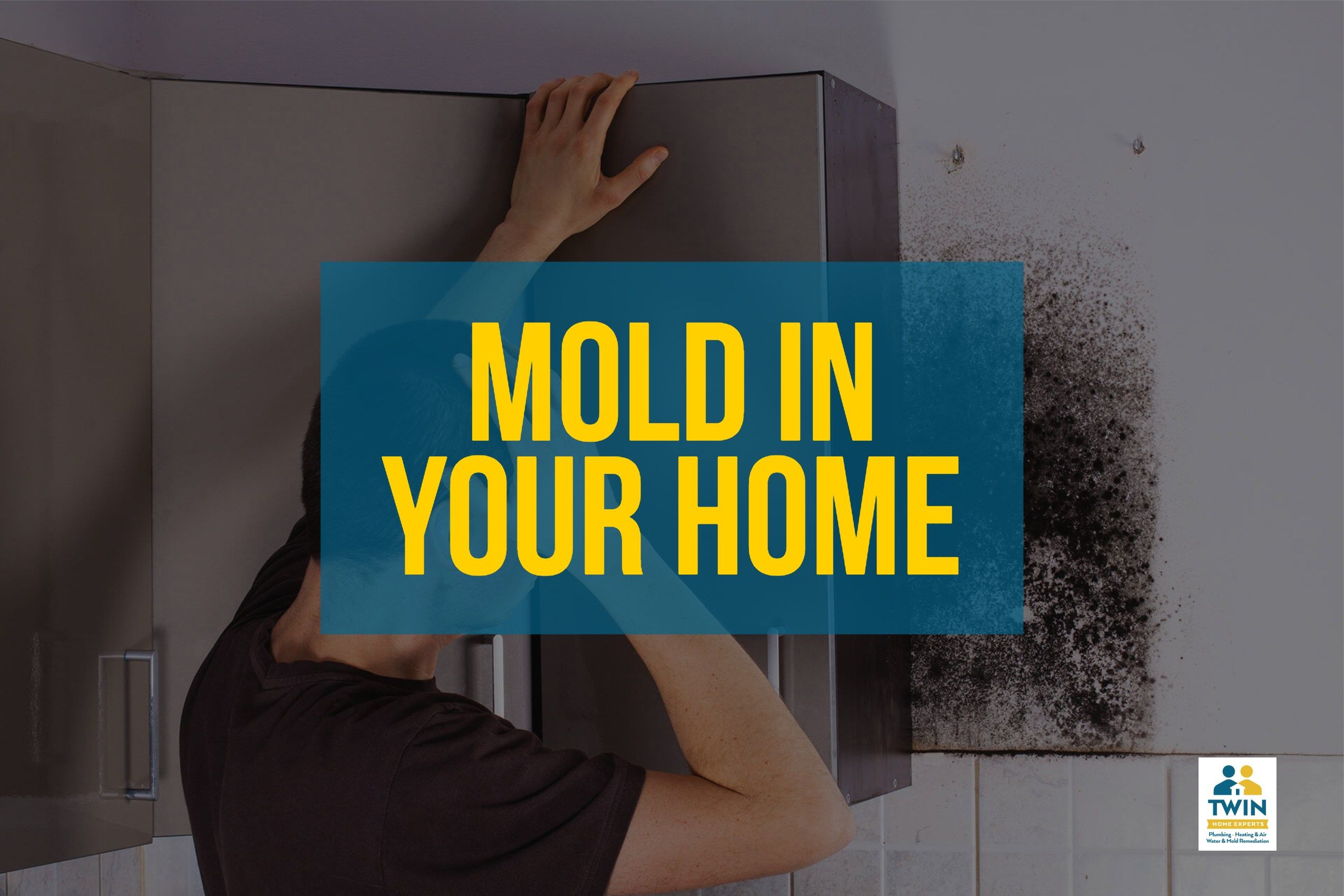 mold-removal-los-angeles