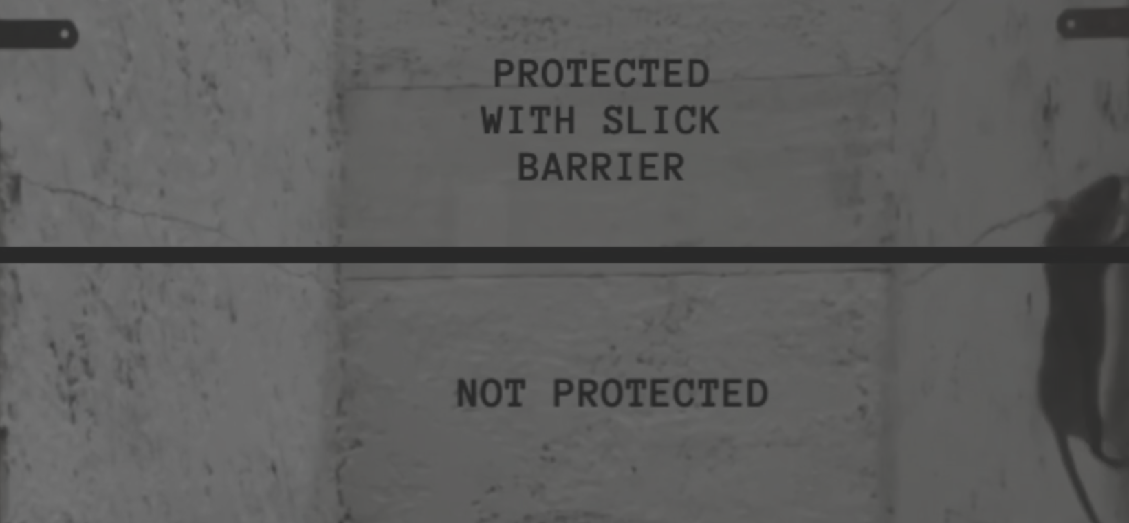 How do I get rid of rats in the walls? REVOLUTIONARY new anti-climb solution!