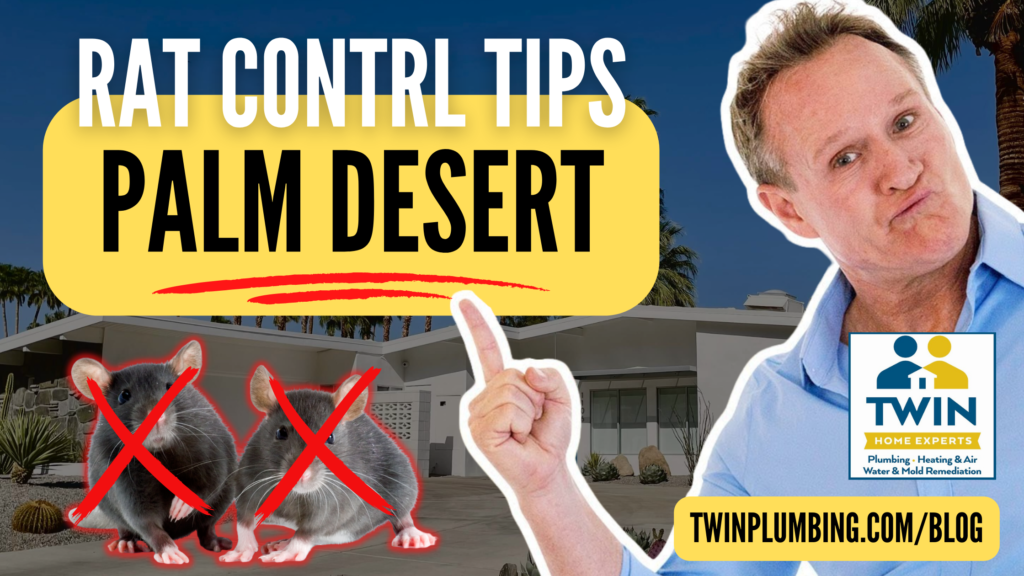 palm desert ca rat control tips