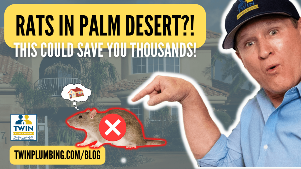 rats in palm desert blog image