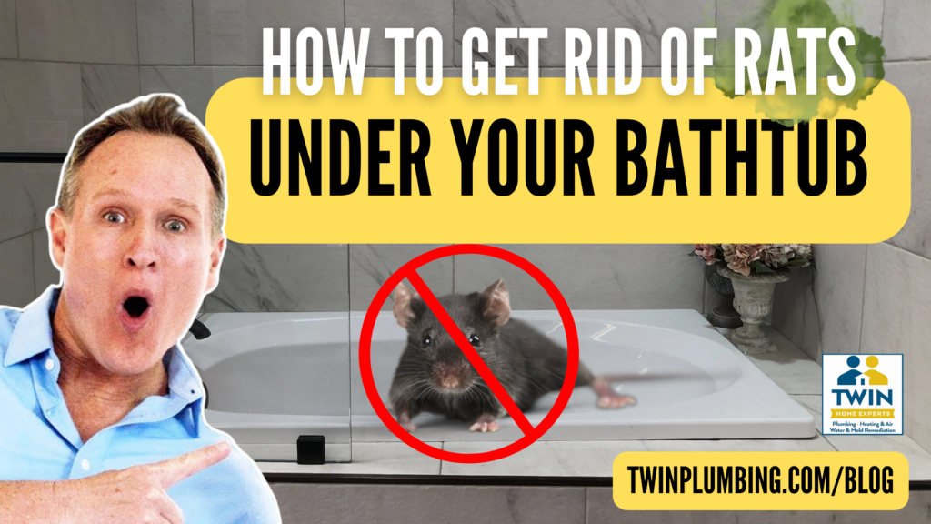 how to get rid of rats under your bathtub