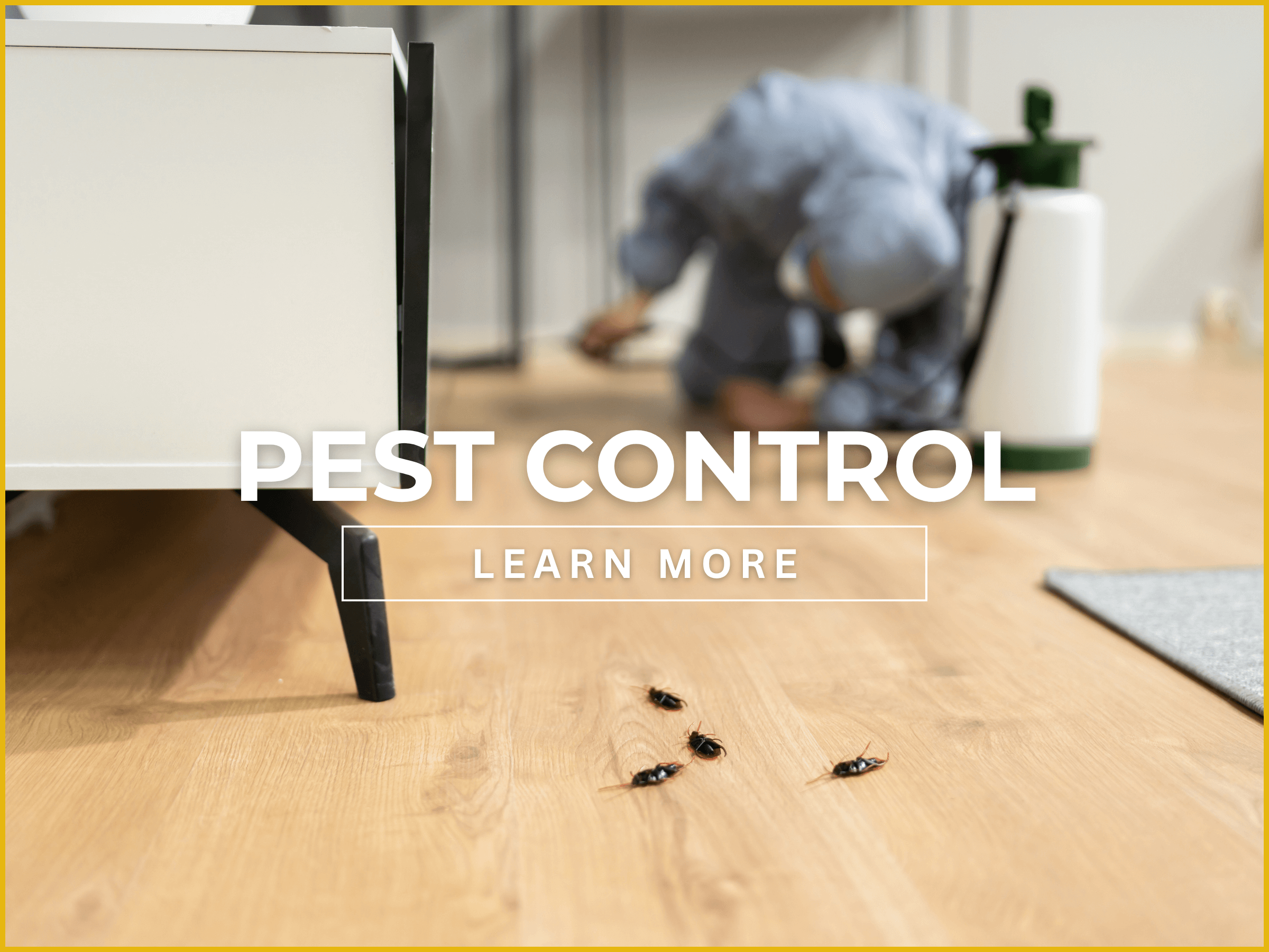 PEST CONTROL