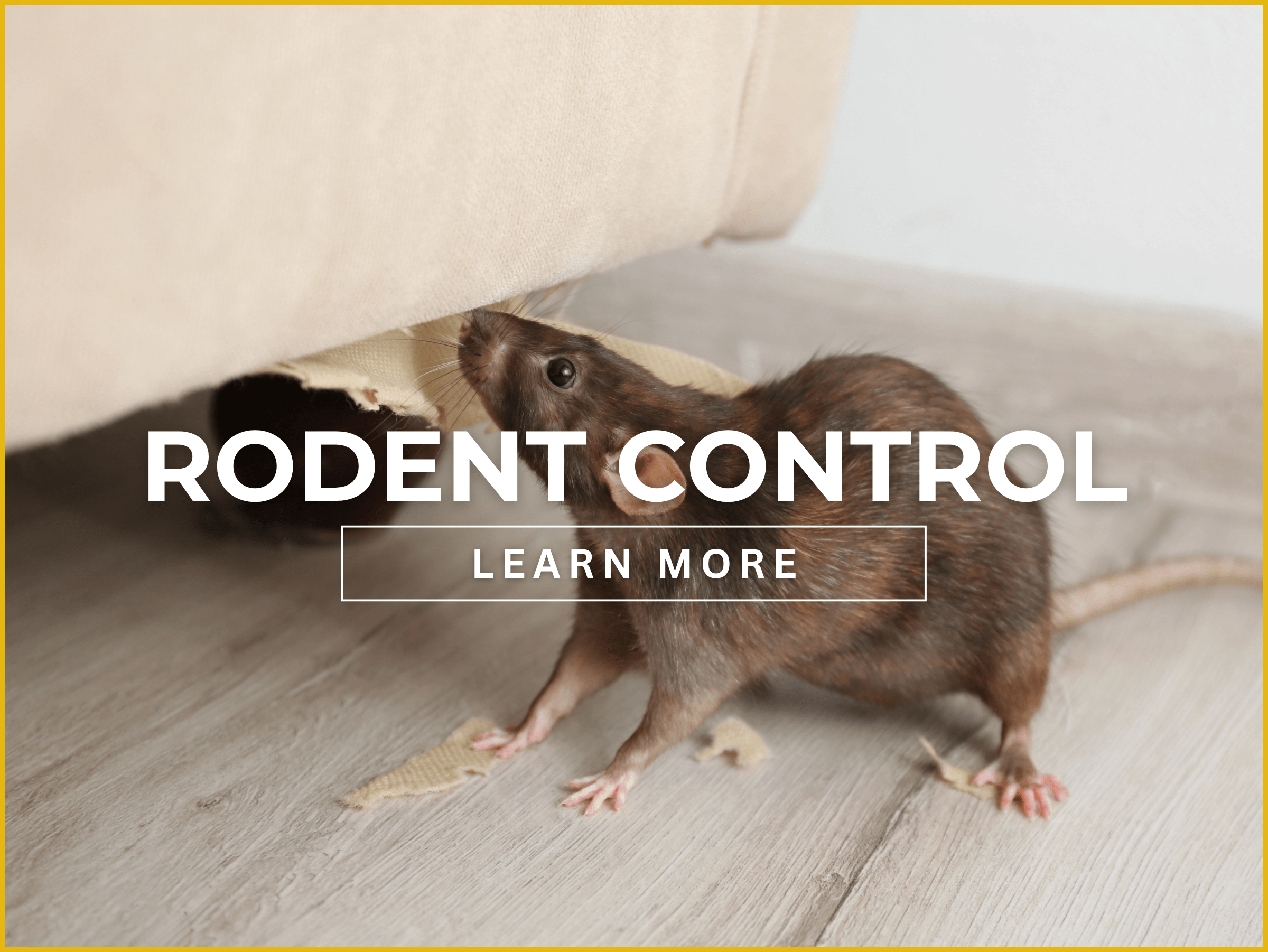 RODENT CONTROL