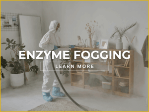 enzyme fogging